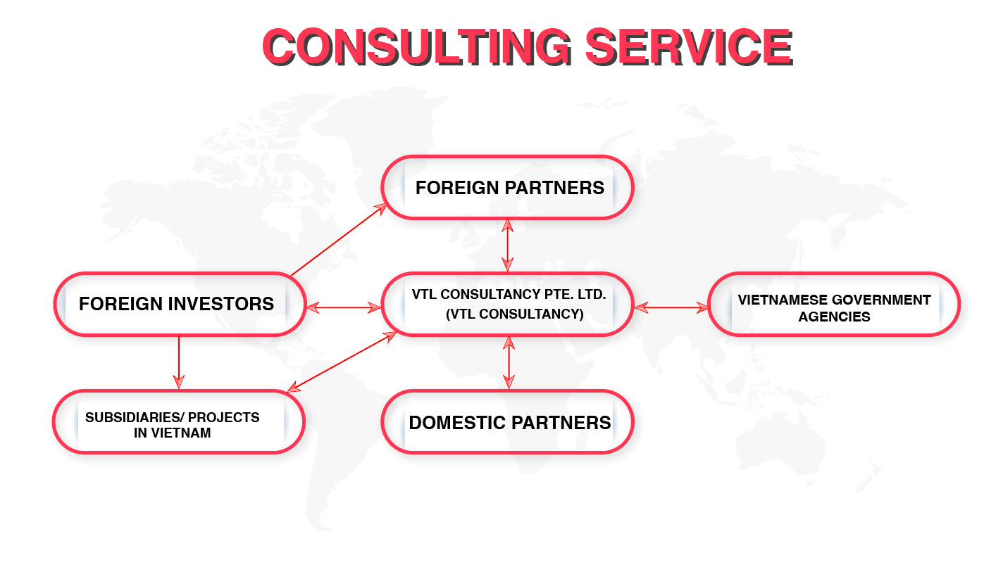Consulting Services
